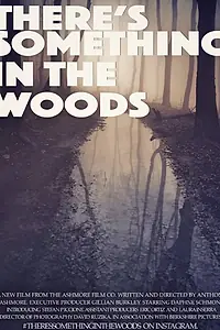 Главный постер фильма «There's Something in The Woods (2015)»