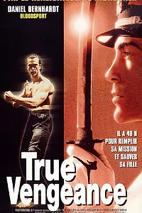 Главный постер фильма «Один против якудза (1997)»
