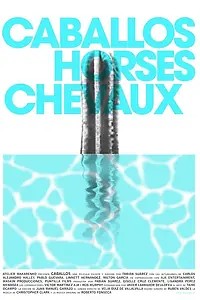 Постер к фильму «Caballos (2015)»