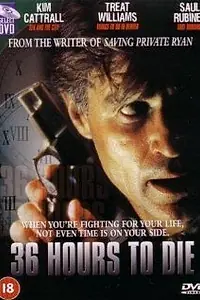 Главный постер фильма «36 часов (1999)»