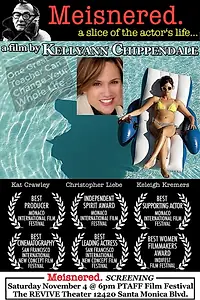 Постер к фильму «Getting Meisnered (2015)»