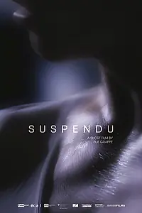 Постер к фильму «Suspendu (2015)»