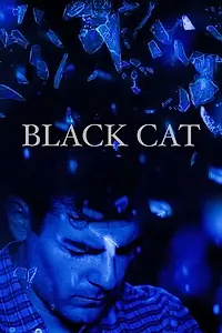 Постер к фильму «Black Cat (2017)»