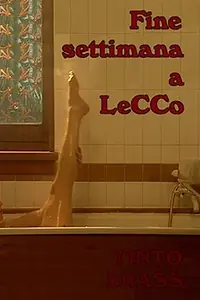 Главный постер фильма «Выходные в Лекко (2000)»