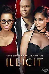 Постер к фильму «Недозволенное (2017)»