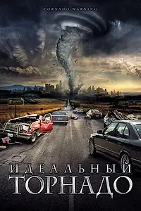 Постер к фильму «Идеальный торнадо (2002)»