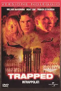 Постер к фильму «В западне (2001)»