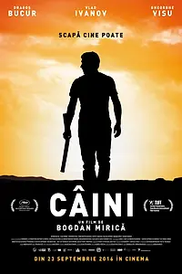 Постер к фильму «Собаки (2016)»