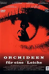 Постер к фильму «Злое сердце (1997)»