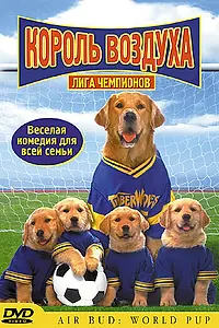 Постер к фильму «Король воздуха: Лига чемпионов (2000)»