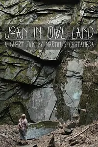 Постер к фильму «Joan in Owl Land (2016)»