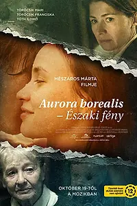 Постер к фильму «Аврора Бореалис: Северное сияние (2017)»