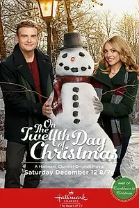 Главный постер фильма «На двенадцатый день Рождества (2015)»