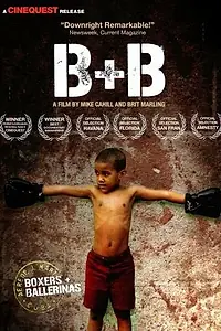 Постер к фильму «Боксеры и балерины (2004)»