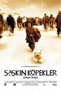 Главный постер фильма «Бродячие собаки (2004)»