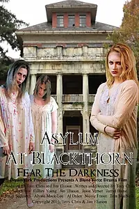 Постер к фильму «Asylum at Blackthorn (2016)»