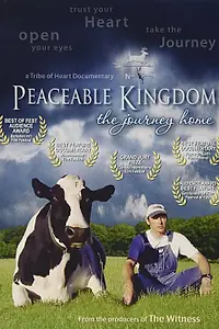 Главный постер фильма «Мирное королевство. Возвращение домой (2004)»