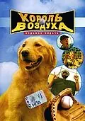 Главный постер фильма «Король воздуха: Седьмая подача (2002)»