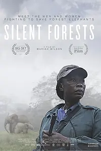 Постер к фильму «Silent Forests (2019)»
