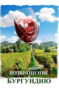 Главный постер фильма «Возвращение в Бургундию (2016)»