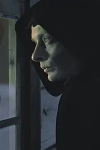 Постер к фильму «Гость (1979)»