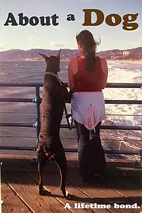 Постер к фильму «About a Dog (2017)»