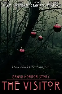 Постер к фильму «Erwin Horror Story: The Visitor (2015)»