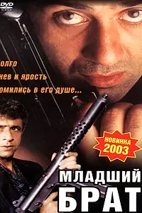 Постер к фильму «Младший брат (2001)»