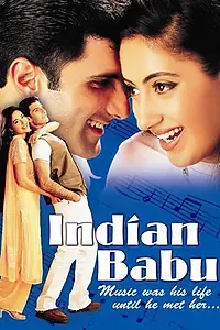 Постер к фильму «Индийский господин (2003)»