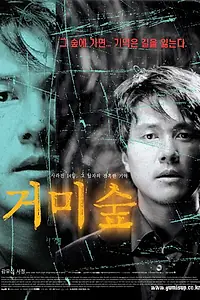 Главный постер фильма «Паучий лес (2004)»
