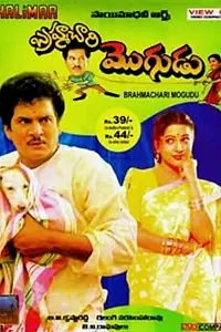 Постер к фильму «Brahmachari Mogudu (1993)»