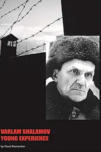 Постер к фильму «Варлам Шаламов. Опыт юноши (2014)»