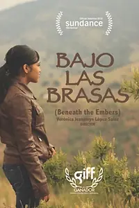 Главный постер фильма «Bajo las brasas (2015)»