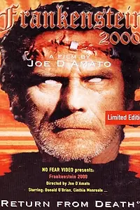 Постер к фильму «Франкенштейн 2000 (1991)»