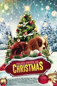 Главный постер фильма «Project: Puppies for Christmas (2019)»
