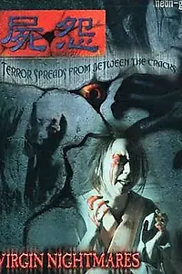 Постер к фильму «Ведьмы-ниндзя 10 (2004)»