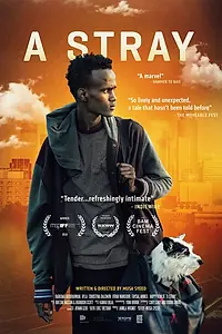 Постер к фильму «A Stray (2016)»