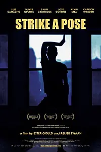 Постер к фильму «Прими позу (2016)»