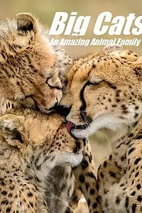 Главный постер сериала «Кошки: Удивительная звериная семейка (2015)»