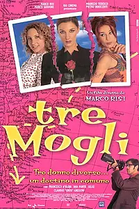 Постер к фильму «Три жены (2001)»