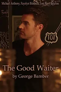Главный постер фильма «The Good Waiter (2016)»