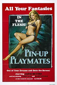 Главный постер фильма «Юные массажистки (1972)»