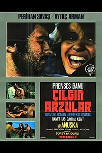 Постер к фильму «Çilgin Arzular (1974)»