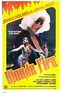 Постер к фильму «Blonde Fire (1978)»