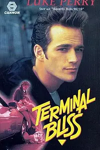 Постер к фильму «Terminal Bliss (1990)»