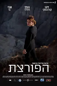 Главный постер фильма «Взломщица (2016)»