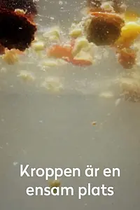 Главный постер фильма «Kroppen är en ensam plats (2016)»