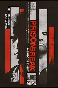 Постер к сериалу «Побег: Продолжение (2017)»