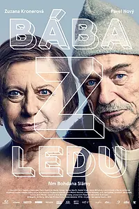 Постер к фильму «Ледяная мать (2017)»