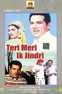 Главный постер фильма «Teri Meri Ik Jindri (1975)»